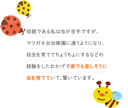 母親である私は虫が苦手ですが、マツガネ台幼稚園に通うようになり、幼虫を育ててちょうちょにするなどの経験をしたおかげで家でも楽しそうに虫を育てていて、驚いています。