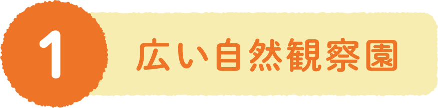 １、広い自然観察園