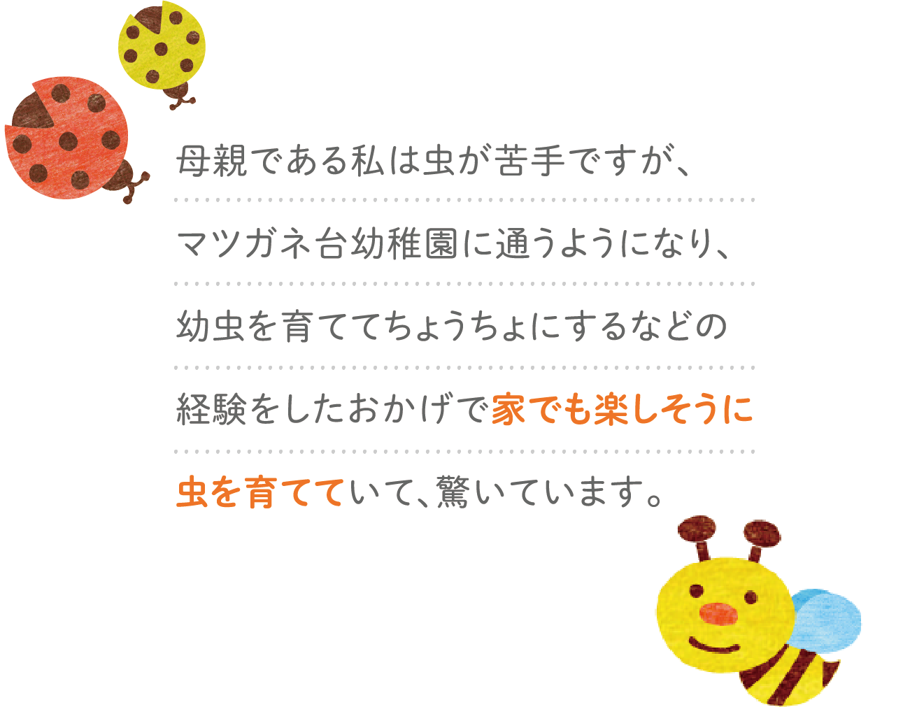 母親である私は虫が苦手ですが、マツガネ台幼稚園に通うようになり、幼虫を育ててちょうちょにするなどの経験をしたおかげで家でも楽しそうに虫を育てていて、驚いています。